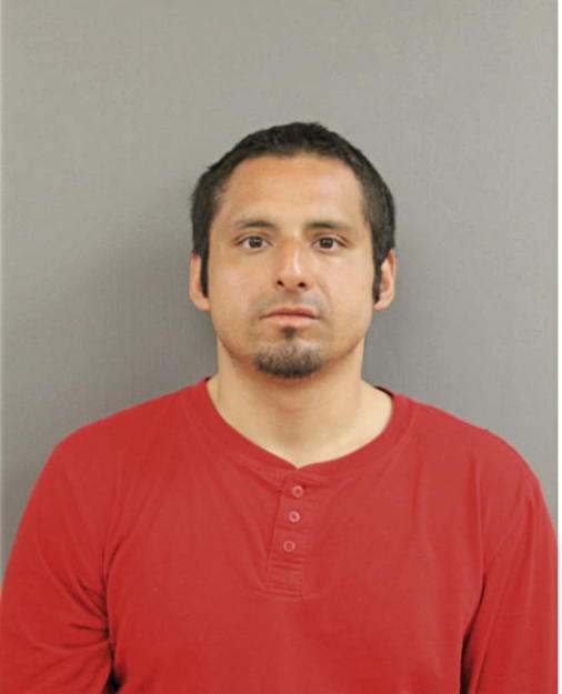 FRANCISCO J VEGA, Cook County, Illinois