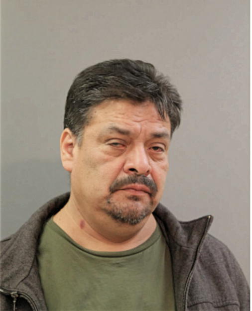 AURELIANO ZAGALDOMINGUEZ, Cook County, Illinois