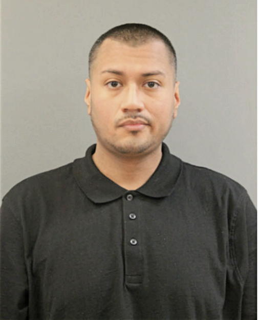 CARLOS DELGADILLO, Cook County, Illinois