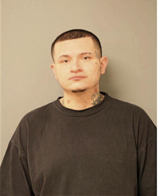 ANTHONY J FUENTES, Cook County, Illinois