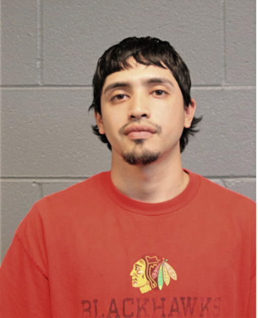 DAVID GARCIA, Cook County, Illinois