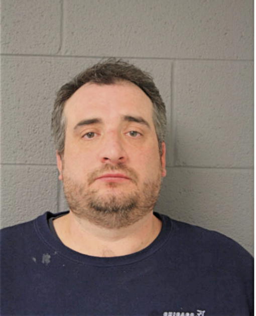 SEAN C HANNIGAN, Cook County, Illinois