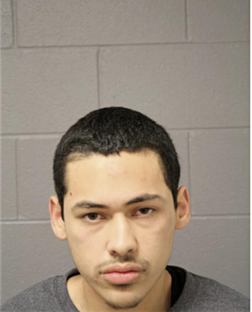 LUIS HERRERA, Cook County, Illinois