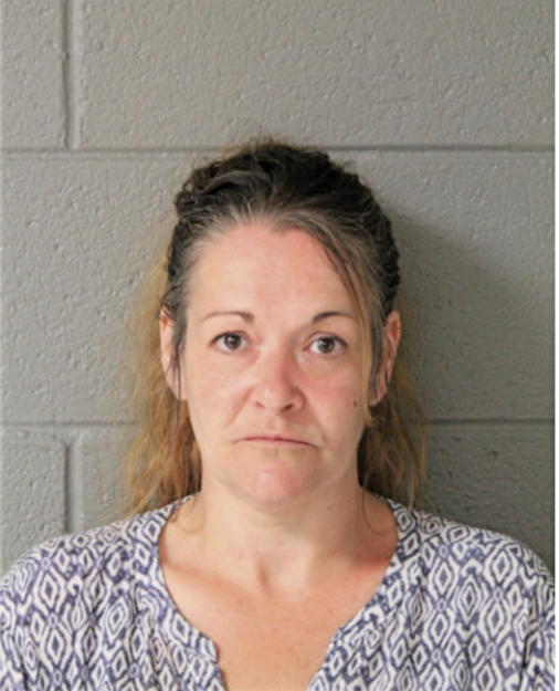 BRIDGET L HUGHES, Cook County, Illinois