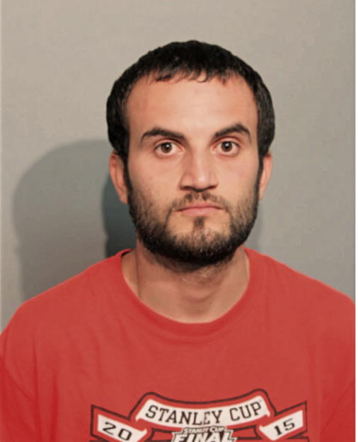 RAMI ISRAEL, Cook County, Illinois