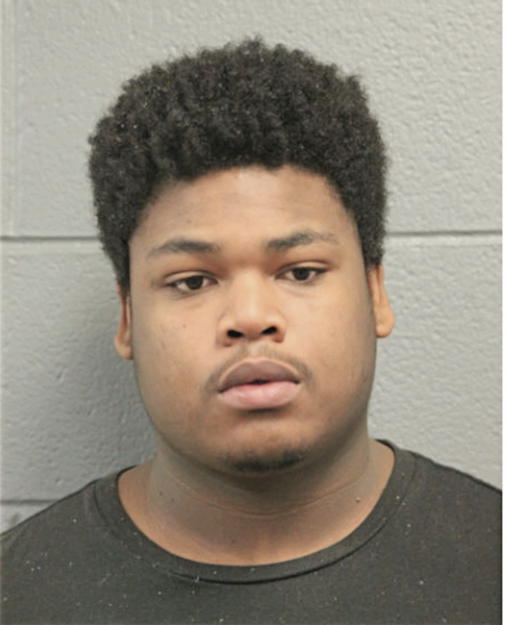 LAWRENCE D JOHNSON, Cook County, Illinois