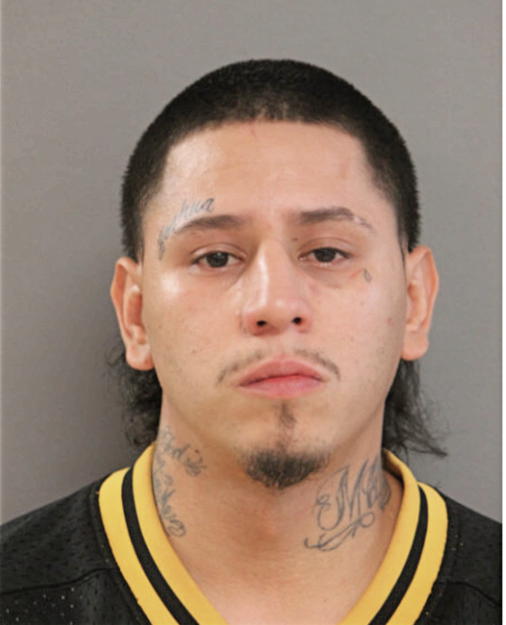 ALFONSO FIERRO JR, Cook County, Illinois