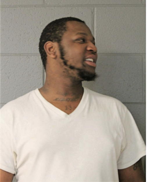 DEMETRIUS D LANE, Cook County, Illinois