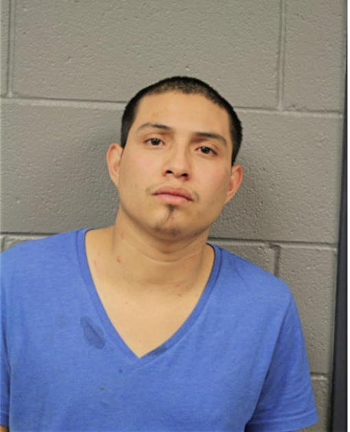 MAURICIO LARA-BARRERA, Cook County, Illinois