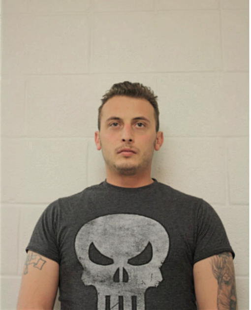 PETER M LOPRESTI, Cook County, Illinois