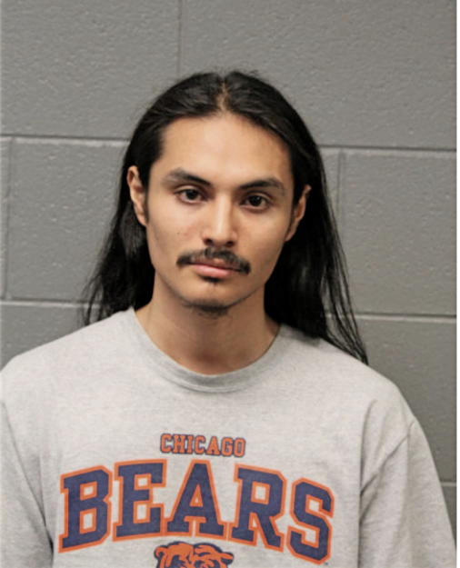 CHRISTOPHER A MATA, Cook County, Illinois
