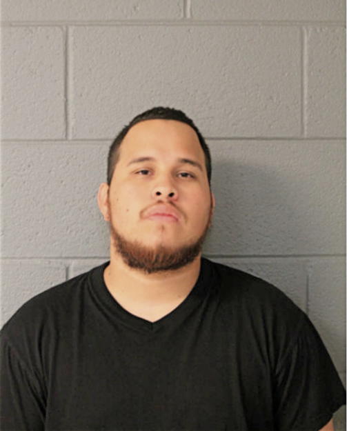 CARMEN MEDA, Cook County, Illinois