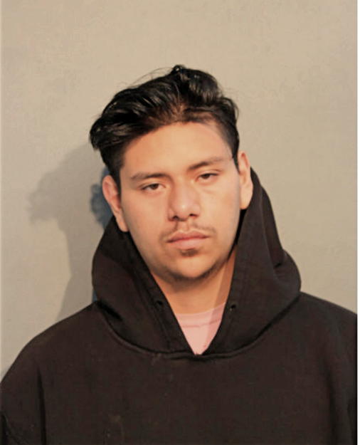ENRIQUE OLIVARES, Cook County, Illinois