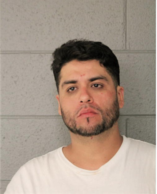 JUAN ORTIZ, Cook County, Illinois