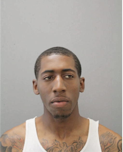 BRYAN J PERRY, Cook County, Illinois