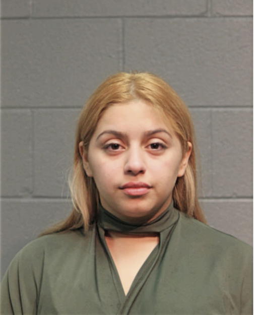 ANELISA X RODRIGUEZ, Cook County, Illinois