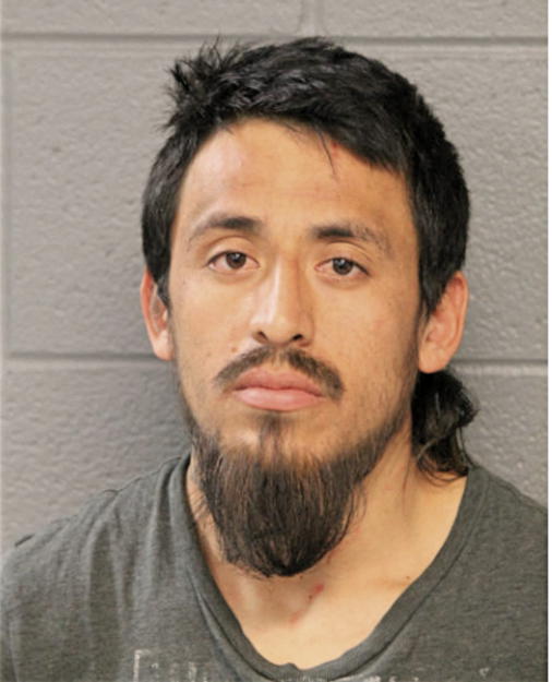 ALEJANDRO ROSALES, Cook County, Illinois