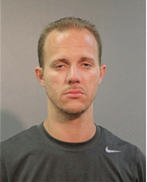 STANLEY T BRZOZOWSKI, Cook County, Illinois
