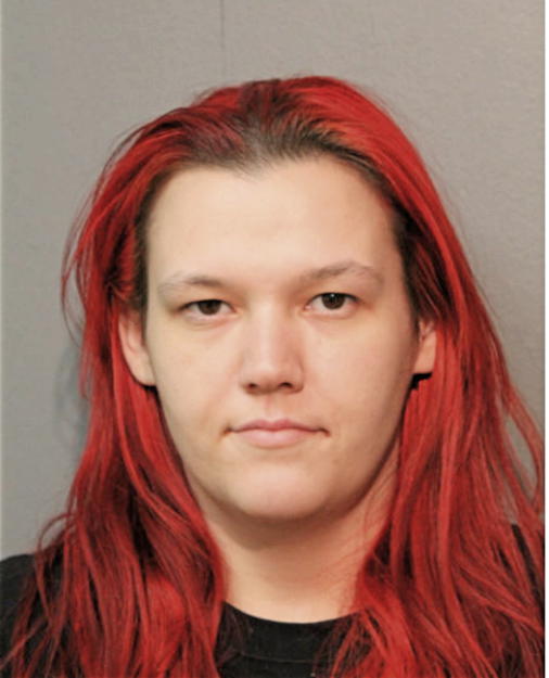 ASHLEY T TAYLOR, Cook County, Illinois