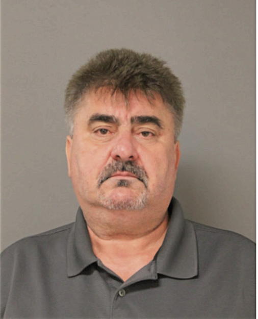 STEFAN I TIBERIU, Cook County, Illinois