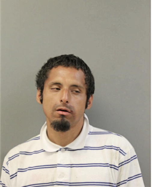 FRANCISCO JAVIER VEGA, Cook County, Illinois
