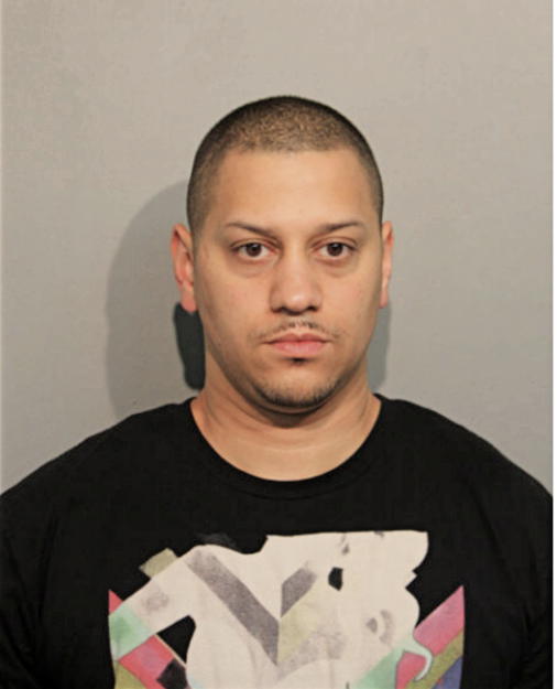 JOSEPH P VILLAFANE, Cook County, Illinois