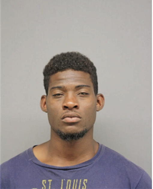 ERIC D YOUNG, Cook County, Illinois
