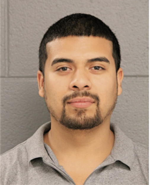 VILMER ALCARAZ, Cook County, Illinois