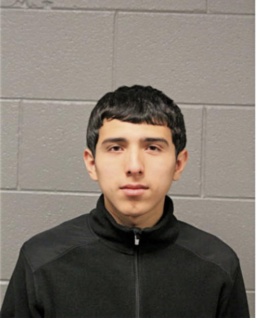 DIEGO ARREOLA, Cook County, Illinois