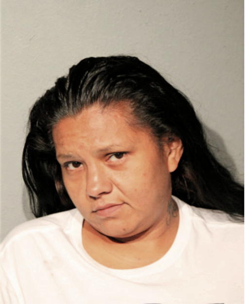 VANESSA R BONILLA, Cook County, Illinois