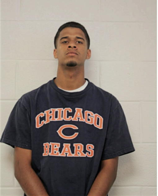 MICHAEL BORZEWSKI, Cook County, Illinois