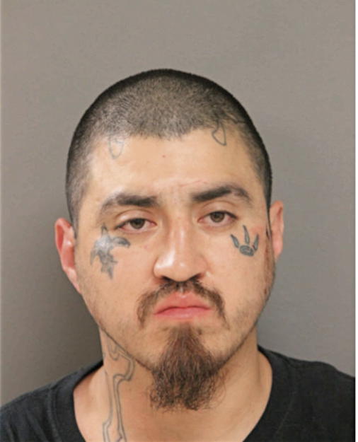 VICTOR M CARILLO, Cook County, Illinois