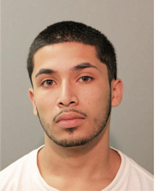 RAMON FLORES, Cook County, Illinois