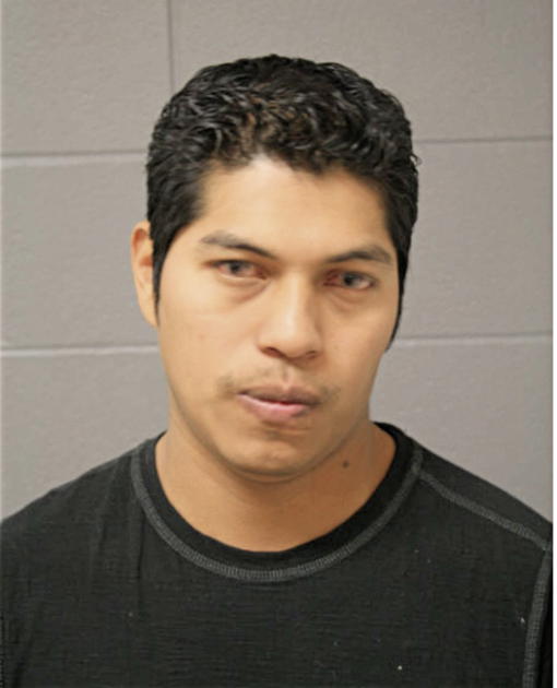 SERGIO GONZALEZ, Cook County, Illinois