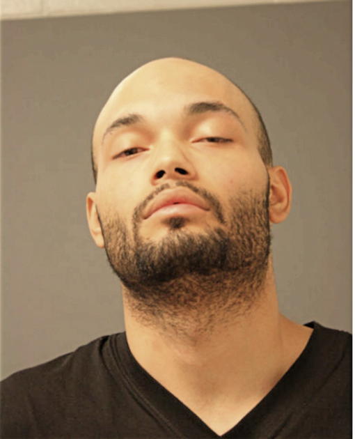 RUSSELL C HONAKER, Cook County, Illinois