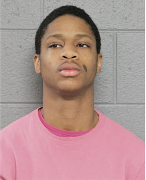 MARVIN T JOHNSON, Cook County, Illinois
