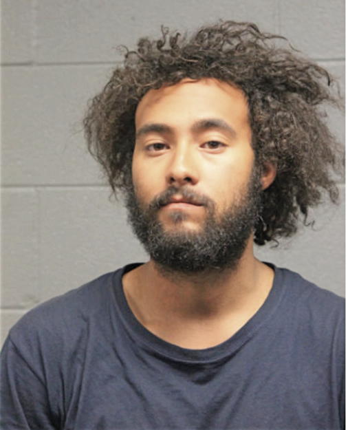 STEPHAN O JONES, Cook County, Illinois