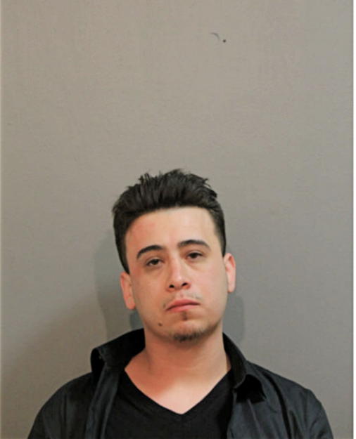 LEOBARDO RUBALCABA JR, Cook County, Illinois