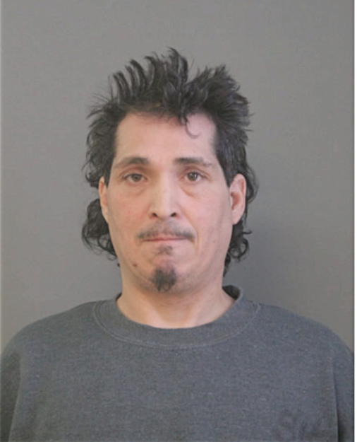 LUIS A LUGO, Cook County, Illinois