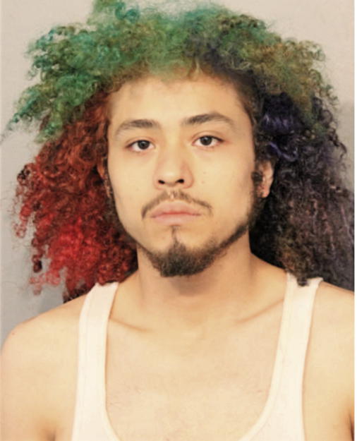 HUMBERTO G MARTINEZ, Cook County, Illinois