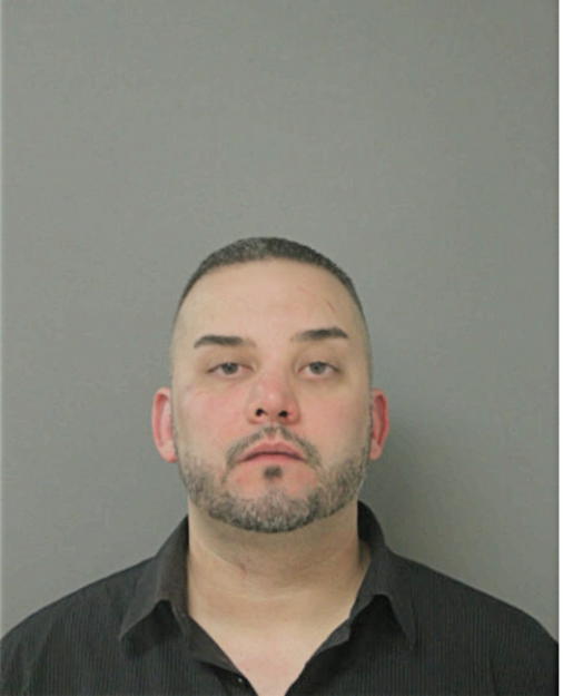 MICHAEL A MATHEWS, Cook County, Illinois