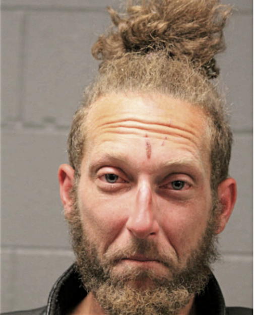 SEAN M MESSER, Cook County, Illinois