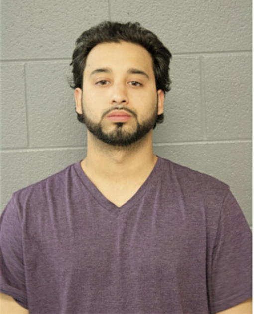 LUIS MONTE, Cook County, Illinois