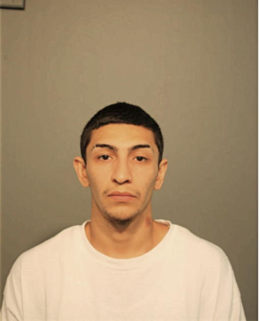 RICARDO MORALES, Cook County, Illinois