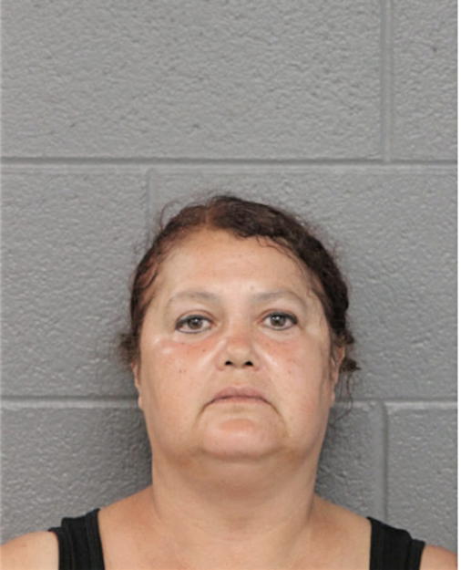 ANA I ORTIZ, Cook County, Illinois