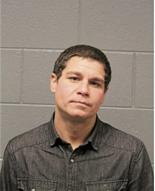 MICHAEL J PERRY, Cook County, Illinois