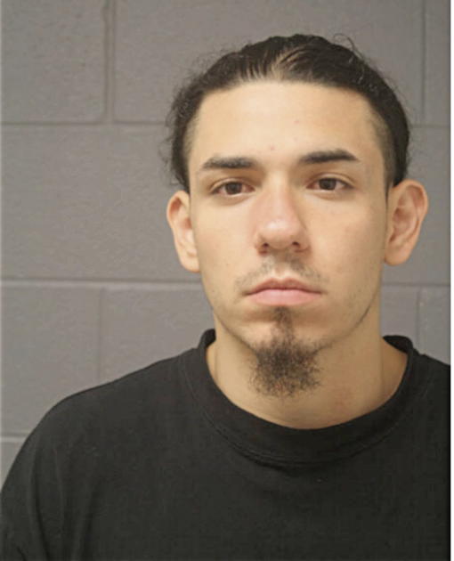 JORGE A RANGEL, Cook County, Illinois