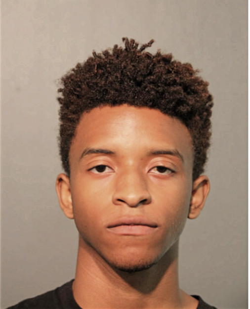 JARED L RHINEHART, Cook County, Illinois