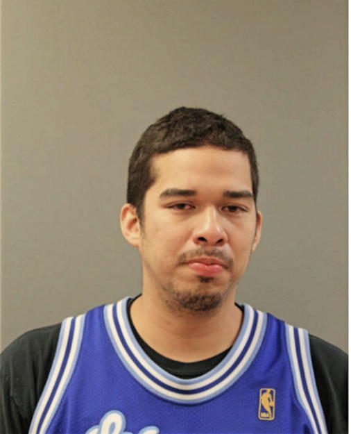 FERNANDO JR ROMAN, Cook County, Illinois