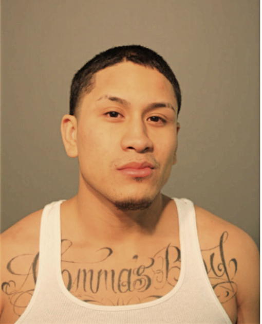 JOSE A SALMERON, Cook County, Illinois
